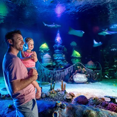 Oceanarium