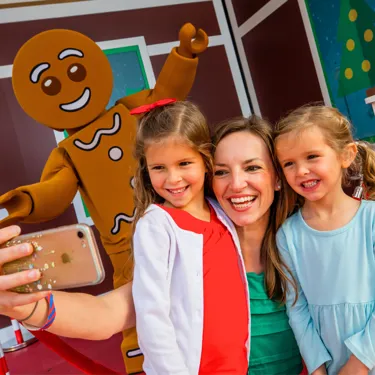 LEGO Gingerbread M&G