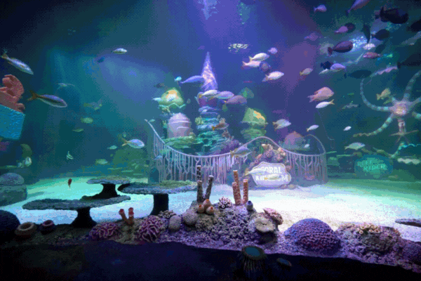 Creatures & Exhibits GIF