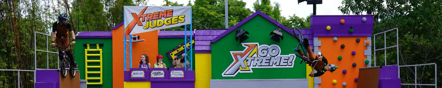 GO Xtreme! Summer Brick Party Show