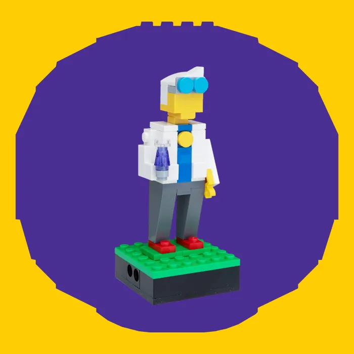 Professor Brick Minilander