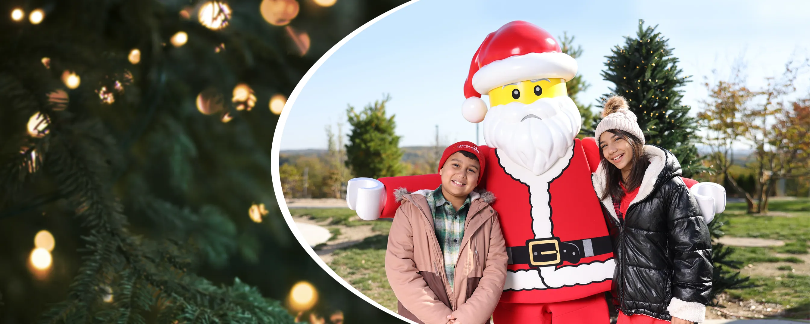 Holidays Header Carousel