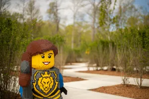 Nature Maze