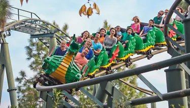 Guest enjoying Dragon Coaster