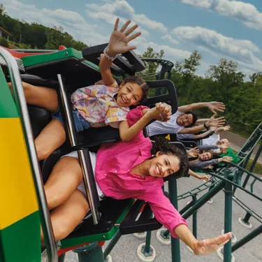 Dragon Coaster