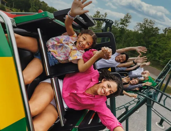 Dragon Coaster