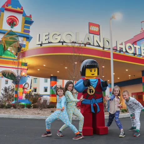 Skyreplaced LLNYR Sleepover Series NINJAGO 06