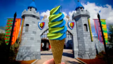 Wizard's Frozen Wonders Ice Cream