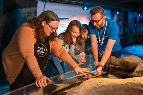 SEA LIFE New Jersey Aquarium
